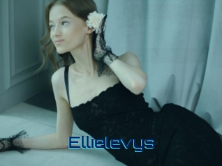 Ellielevys