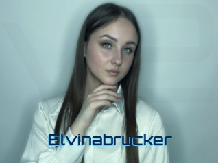 Elvinabrucker