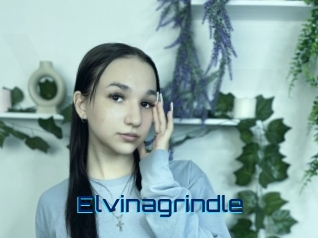 Elvinagrindle
