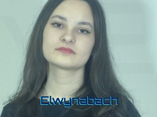 Elwynabach