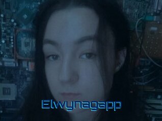 Elwynagapp