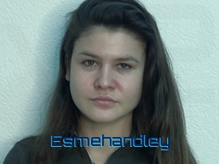 Esmehandley