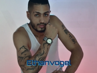 ethanvogel Vidéos de Cul FR