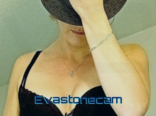 Evastonecam