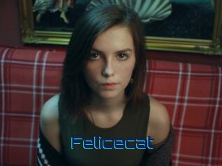 Felicecat