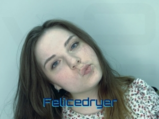 Felicedryer