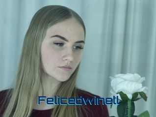 Felicedwinell