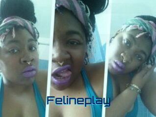 Felineplay