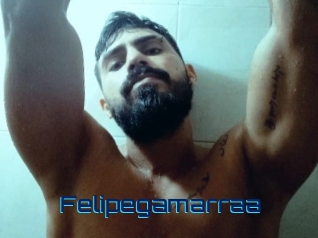 Felipegamarraa