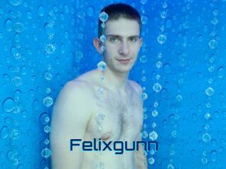 Felixgunn