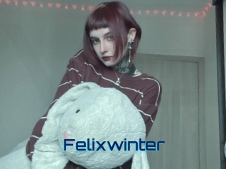 Felixwinter