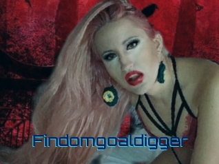 Findomgoaldigger