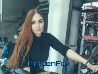 GoldenFox Vidéos de Cul FR