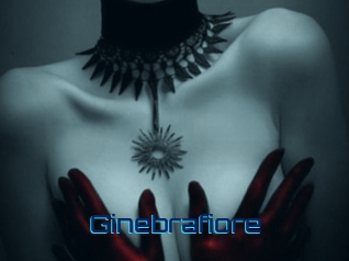 ginebrafiore Vidéos de Cul FR