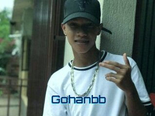 Gohanbb