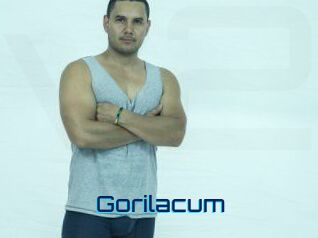 gorilacum Vidéos de Cul FR