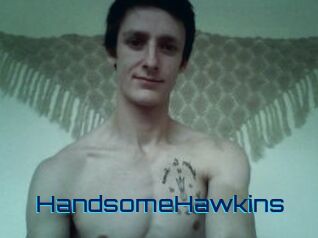 HandsomeHawkins