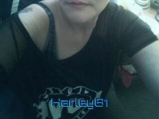 Harley81