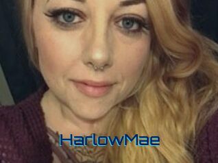 Harlow_Mae