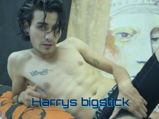 Harrys_bigstick