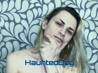 HauntedDog Vidéos de Cul FR