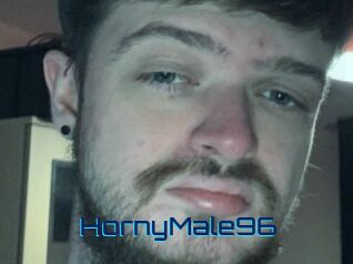 HornyMale96