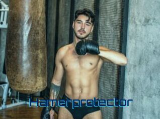 Hamerprotector