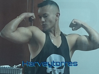 harveytorres Vidéos de Cul FR