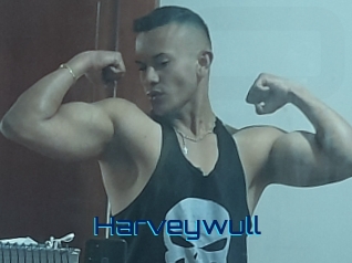 Harveywull