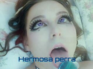 Hermosa_perra