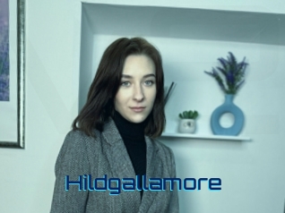 Hildgallamore