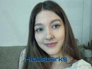 Hollisbarks