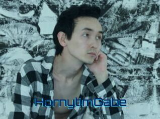HornytimGabe