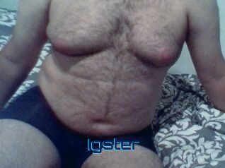 Igster