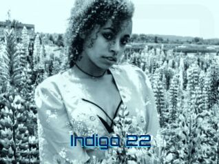 Indigo_22 Vidéos de Cul FR