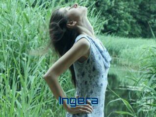 Ingera