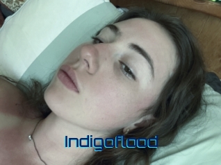 indigoflood Vidéos de Cul FR