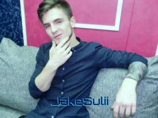 JakeSulii