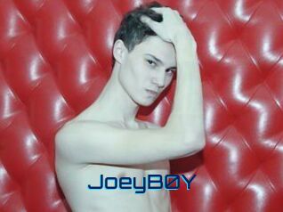 JoeyB0Y