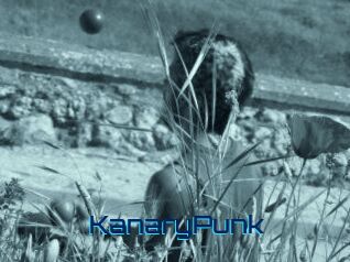 KanaryPunk