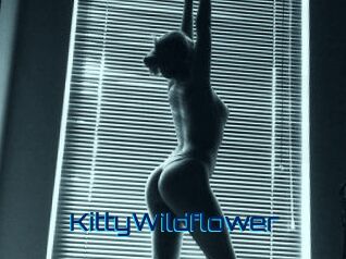 KittyWildflower