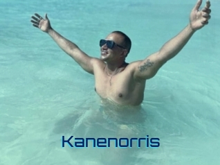 kanenorris Vidéos de Cul FR