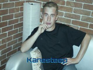 Kanesteep