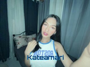 Kateamari