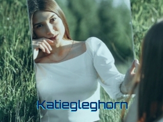 Katiegleghorn