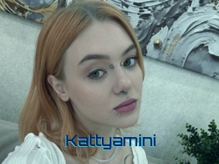 Kattyamini