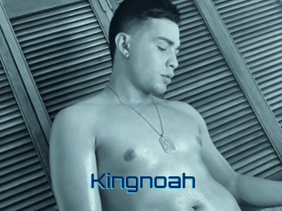kingnoah Vidéos de Cul FR