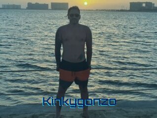 Kinkygonzo