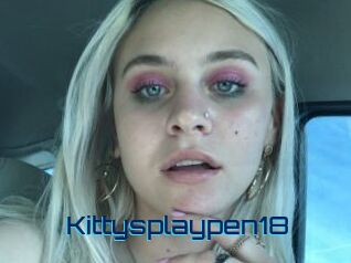 Kittysplaypen18