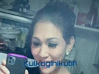 Kulkoginikutifi